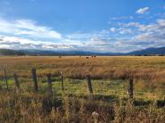 New Meadows Idaho