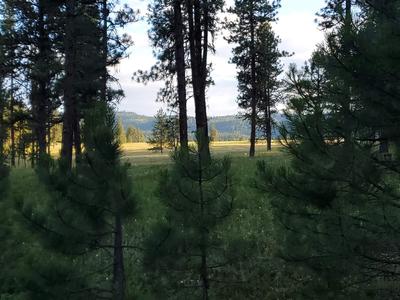 New Meadows Idaho